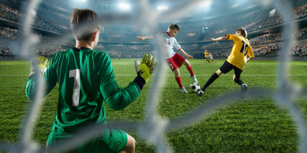 未来的不确 未来的不确